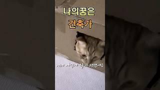 슬이와럭키 나의 꿈은 건축가