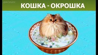 КОШКА - ОКРОШКА / CAT - OKROSHKA НА РАЗНЫХ скоростях