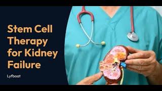 Stem Cell Therapy for Kidney Failure | Stem Cell Therapy for Kidney Disease in India