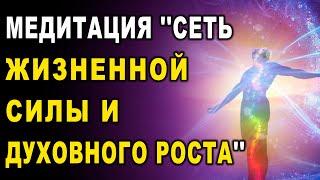 Медитация ''Сеть жизненной силы и духовного роста'' ۞ Исцеление души, Дмитрий Мельник