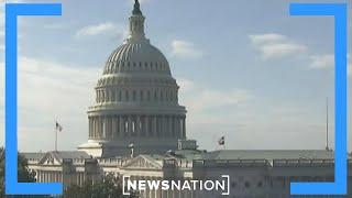 GOP has 95% chance of maintaining House majority: Scott Tranter | NewsNation Live