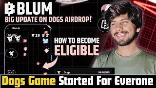 Blum Airdrop snapshot News | blum Dogs Airdrop update today, Crypto Airdrop