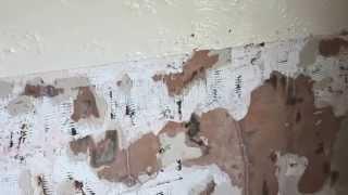 PLASTERER IN PENYRHEOL CAERPHILLY - PLASTERING BATHROOM IN PENYRHEOL CAERPHILLY