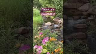 Как молиться о здоровье? Молитва об исцелении от болезни #молитва #здоровье #исцеление