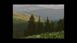 Sad Indie Folk x Acoustic Guitar Type Beat - “I Will Wait”
