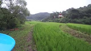 2022 진천농협 수도작 2차방제  Korea's drone spraying pesticides