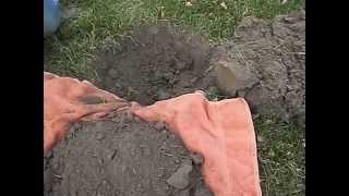 1st live dig of silver detecting using a Garrett AT Pro