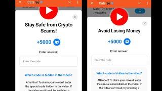 Stay Safe from Crypto Scams! Cats | Avoid Losing Money | 25-26 December Cats All Video Codes Today