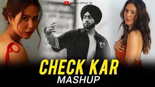 Check Kar Mashup | Ap Dhillon ft. Shubh | Check Kar Mashup 2024 | Mashup Official 1M