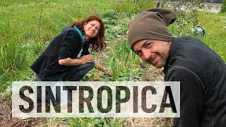 IL MAGO dell'AGRICOLTURA SINTROPICA. Con Gennaro Cardone 