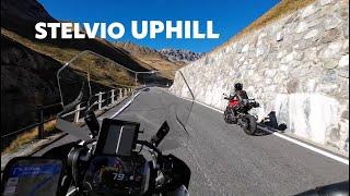 Catch me if you can - from Bormio to Stelvio | BMW R 1250 GSA | ADV Bumblebee