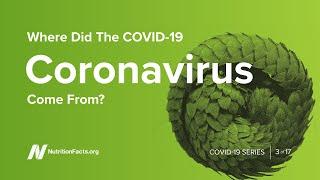 Where Did the COVID-19 Coronavirus Come From?