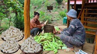 Harvest super sweet sticky corn - eggplant - bring them to the market to sell | Live With Nature