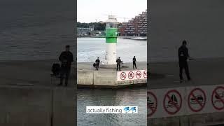 what are they doing? #travel #viral #trendingshorts #viralvideo #nature #sea #fish  @arloveda.channel