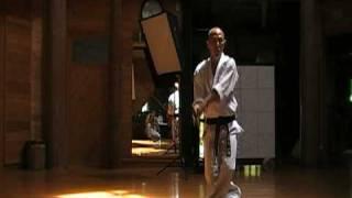Hino Akira sensei kata