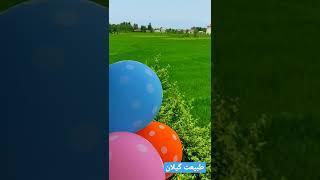#گیلان #شمال #ایران #گردشگری #طبیعتگردی #رودسر #ایرانگردی #سفر #مسافرت #جهانگردی #طبیعت #تفریح #love