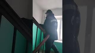 Шастают тут всякие