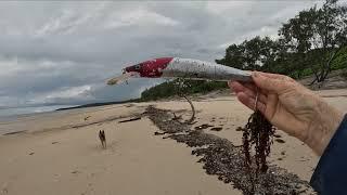 BEACHCOMBING LONG WAY FROM HOME!!!