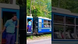 Darjeeling to New Jalpaiguri Toy Train | Toy Train Darjeeling 2022. Joy ride Himalayan Toy train.