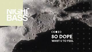 So Dope  - WANT U TO FEEL