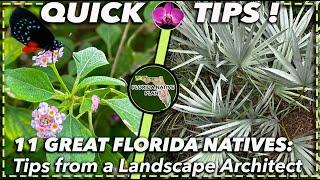 CREATE A RESILIENT FLORIDA GARDEN WITH NATIVE PLANTS: Advice from a Landscape Architect (ZONES 8-11)