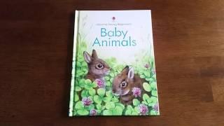 Baby Animals: Usborne Books & More