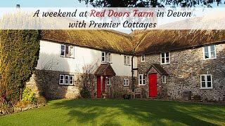 Fossil Hunting at Lyme Regis - a weekend at Red Doors Farm with Premier Cottages