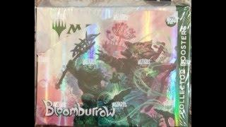 Bloomburrow Collector PACK WARS(#2)! Liliana(RAISEDFOIL)/Lili(Brdlss)/Jace(Brdls) hit!MagicalBoxWars