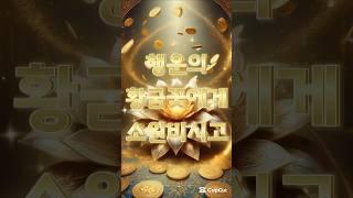행운의 황금꽃에게 소원비시고 금전운 재물운 대박나셔서 소원성취 부귀영화 누리세요 #금전운 #소원성취