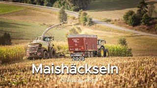 Maishäckseln bei Bad Neualbenreuth | Biogas | Lohnunternehmen Schicker