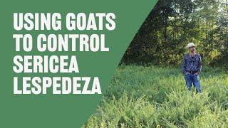 Using Goats to Control Sericea Lespedeza | Harley Naumann