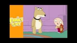 Family Guy SUNY Albany