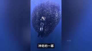 科学家都无法解释的神秘现象#无法解释的奇异事件#九萬Lei