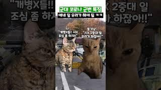 군대 코로나 군번 특징 #shorts #군대