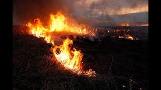 Burning Prairie: How We Control-Burn CRP Grass