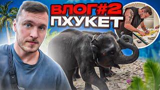 ВЛОГ#2|ПХУКЕТ|DJ SNAKE|ДВИЖЕНИЯ