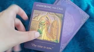 Sacred Traveler Oracle Cards by Denise Linn review and flip through