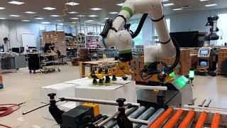 FANUC CRX Collaborative Robot | FANUC Cobot | PalletizCRX