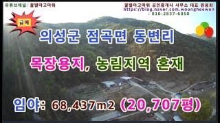 (급매) 의성군 점곡면 동변리 목장용지 농림지역 20,707평 (협의가능)