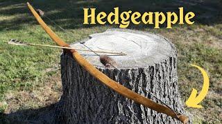 Building a Hedgeapple Bow