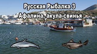 РР3 (Russian Fishing). Афалина. Акула-свинья. Королевская коллекция.