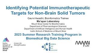 Identifying Potential Immunotherapeutic Targets for Non-Brain Solid Tumors