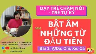 Dạy Trẻ Chậm Nói - Trẻ Tự Kỷ Bật Âm Những Từ Đầu Tiên - An Khánh Nhung