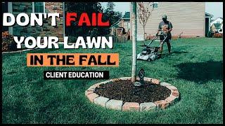 Optimize Lawn Seeding | Easy Steps to Seed A Lawn