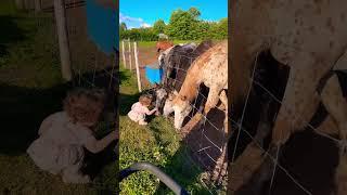 Sweet moments #littlegirl #horses #country #farmkid #farmlife #appaloosa #viral #fy #canada #daily