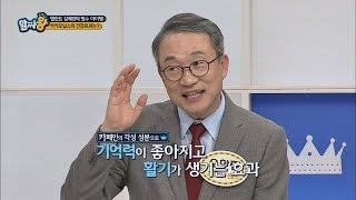 기억력에 좋은 '카페인' 성분, 과유불급! 적당히 섭취해요~ 알짜왕 17회