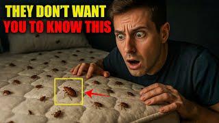 NEVER Stay in a Hotel Again (Bed Bug Warning!)