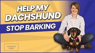 How to HELP my Dachshund with barking when being left