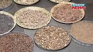 Preparation Of Ayurvedic Medicines | Inside Odisha Ayurvedic Medicine Manufacturers In Cuttack