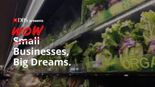 Small businesses, big dreams: Growing an organic grocery with purpose